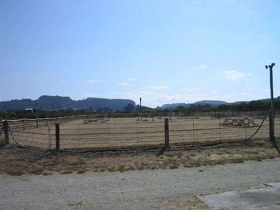 60ft. round pen