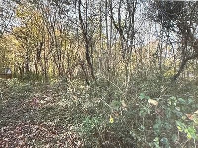 0 Maynard Ave #40837, Wallins Creek, KY, 40873