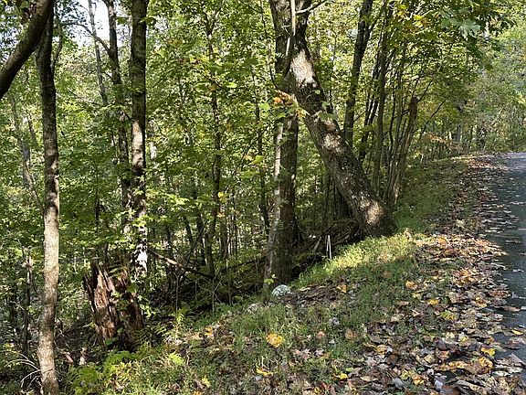 5th image of LOT 449 Mountain Tops Rd