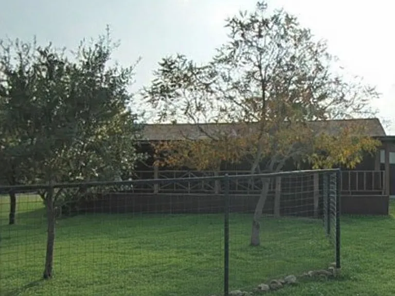 Neighborhood