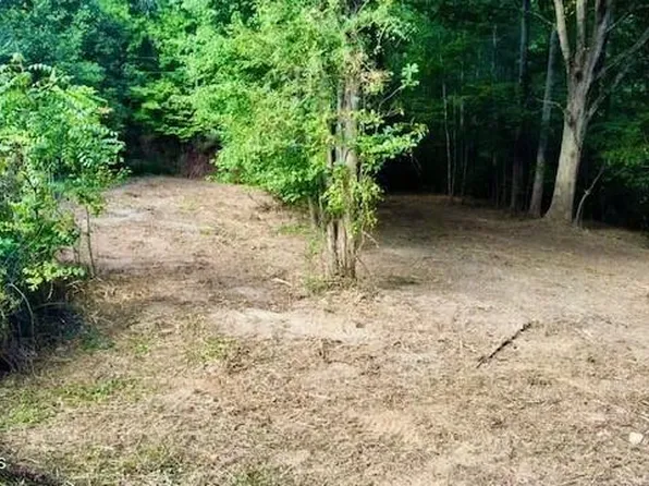 106 Green Hill Dr, Vonore, TN 37885