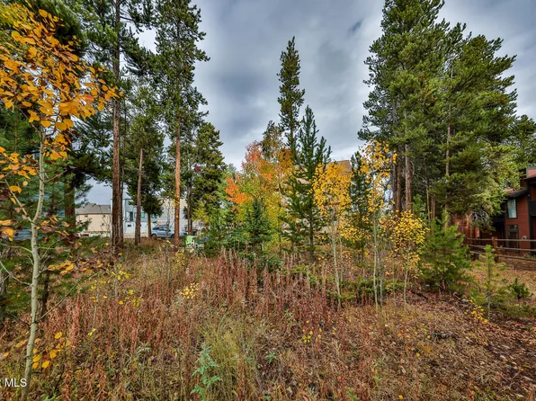 870 Ferret Lane, Fraser, CO 80442