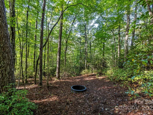 32 W View Rd, Brevard, NC 28712