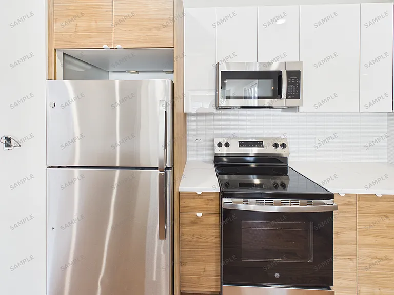 2024 S Ashland Ave #2 — Photo 3