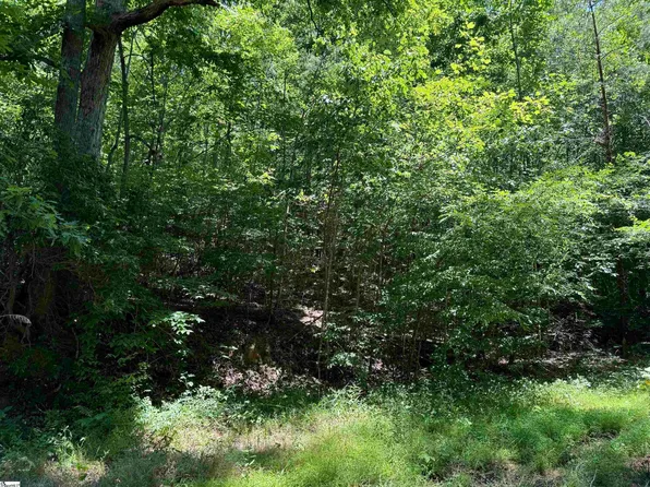 0 Glendlyon Dr, Landrum, SC 29356