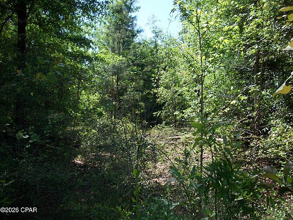 4th image of 0 Davis Ct