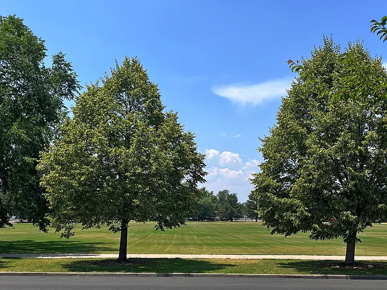 Garfield Park across the street