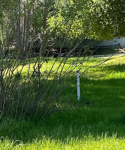 18450 Shadowbrook Way — Photo 4