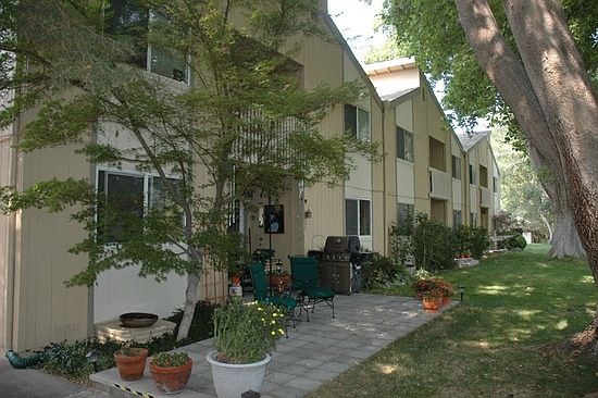 shaded park-like setting