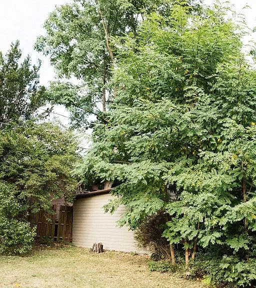 Rear yard