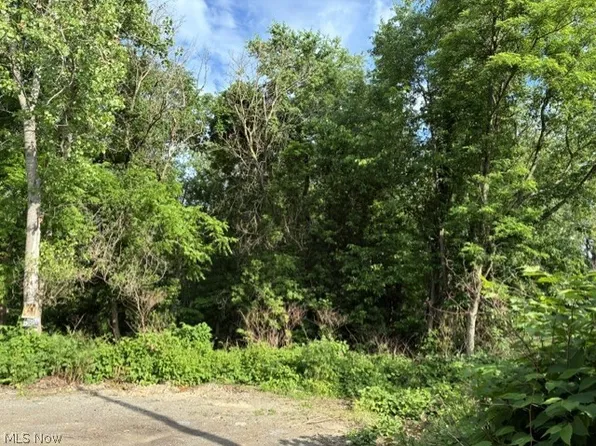 Lane St, Weirton, WV 26062