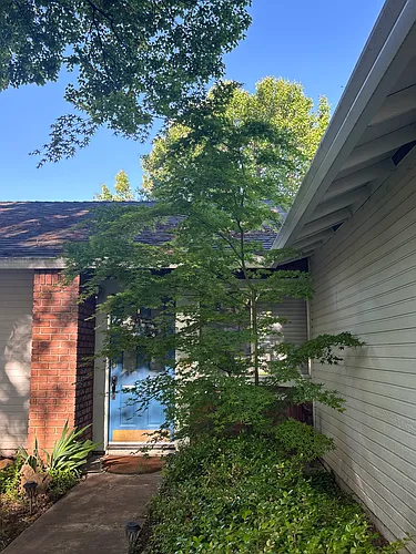 771 Victorian Park Dr Photo 1