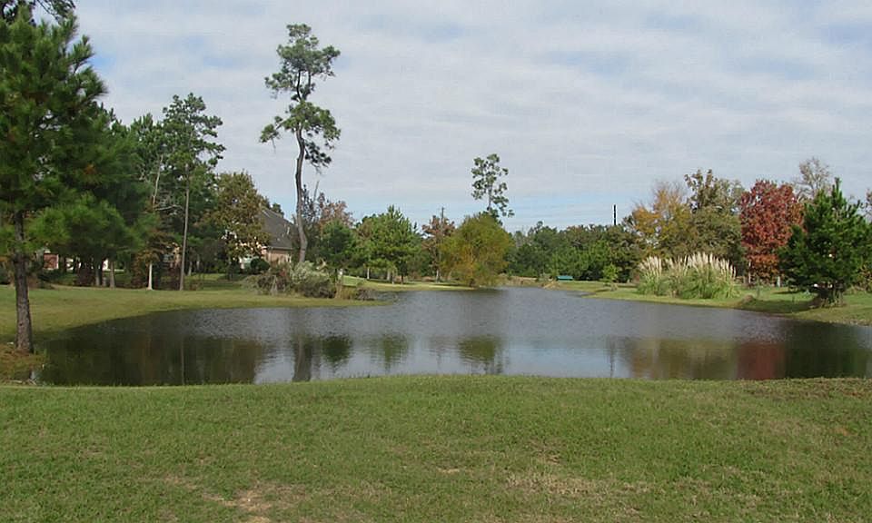 scenic lake views