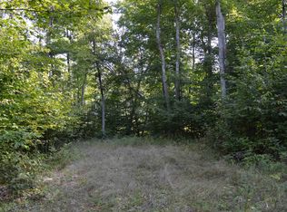 W Leonard Rd, Mancelona, MI 49659