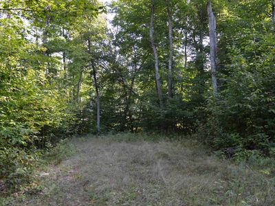 W Leonard Rd, Mancelona, MI, 49659