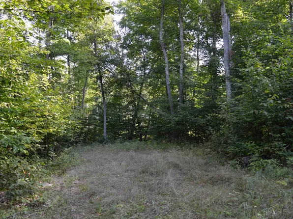 W Leonard Rd, Mancelona, MI 49659