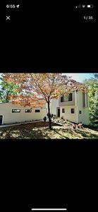 15 Currier Way, Cheshire, CT, 06410