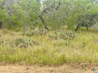 14 Wisteria Ln, Smiley, TX 78159