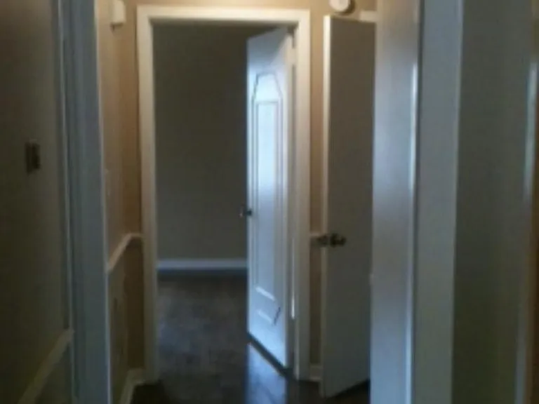 917 Corey Dr — Photo 12