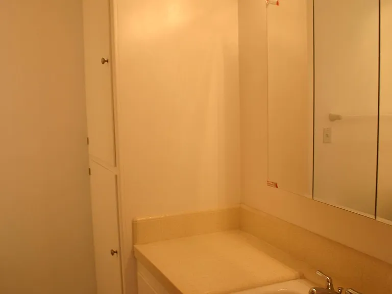 Main Bath