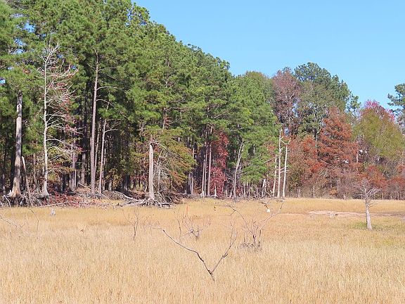 5th image of 1749 Needmore Rd