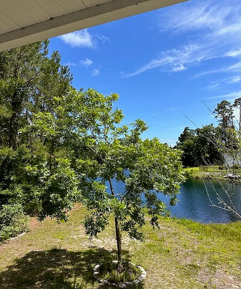 135 Palmera Ln — Photo 19