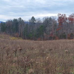 0 Fox Hall Dr Lot 6, Amherst, VA, 24521