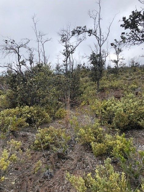 1st image of 92-2531 Mahimahi Dr Lot 34