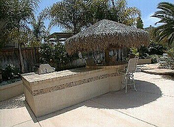 Palapa Bar in Backyard