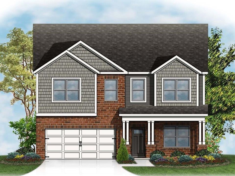 Elevation Image 0.