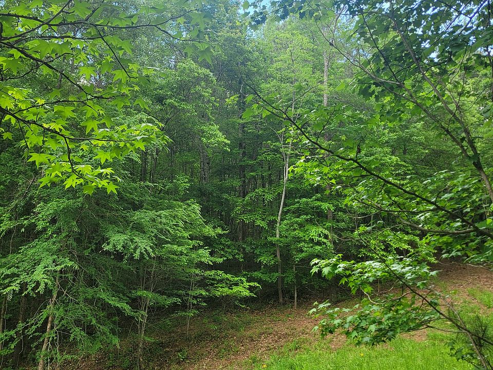 2nd image of 0 Fincherville Rd Tract 3