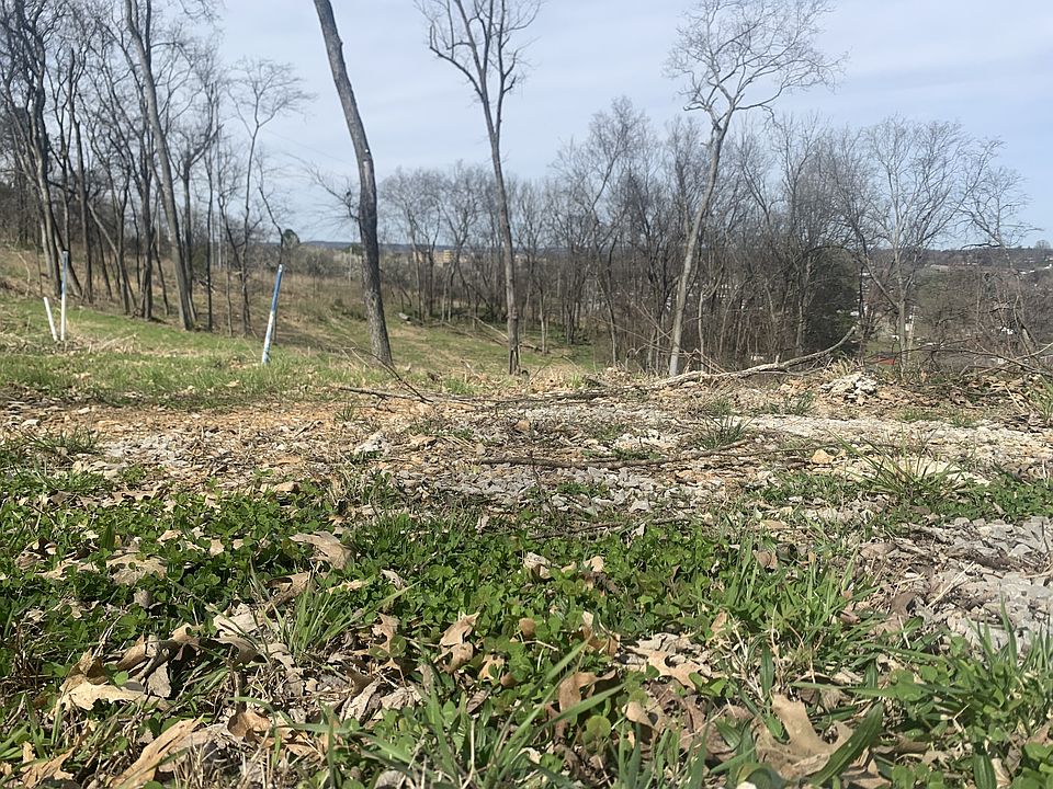 0 Alpine Dr, Columbia, TN 38401 Zillow