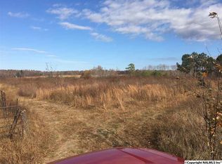 785 County Road 346, Pisgah, AL 35765