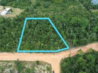 LOT 11 Empire Ave, Alford, FL 32420
