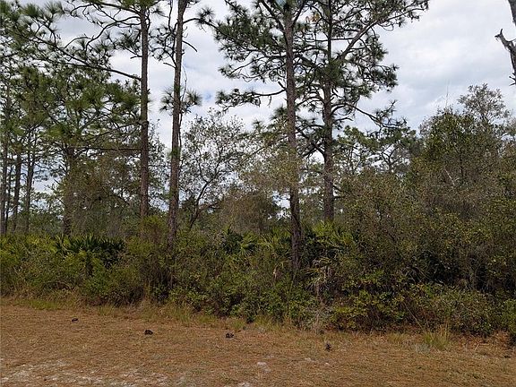2nd image of 416 BOUGAINVILLE DRIVE LOT 8