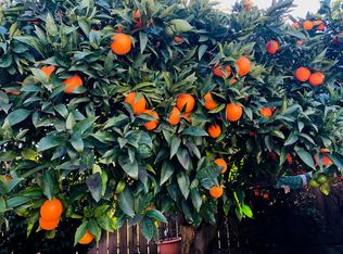 126 Butler St, Milpitas, CA 95035