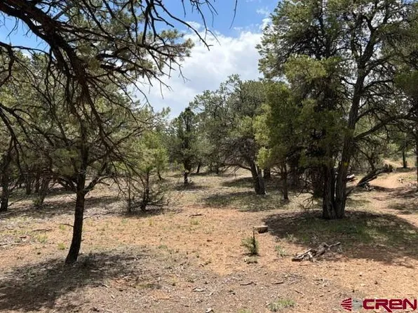 Lot 4 Pine Drive, Ridgway, CO 81432