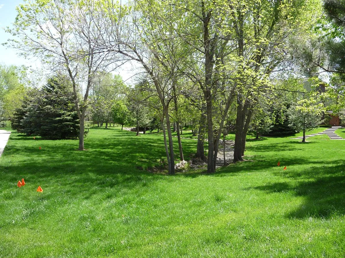 View of the grounds - 2800 Kalmia Ave #A226