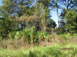 105 Crows Bluff Rd, Satsuma, FL 32189