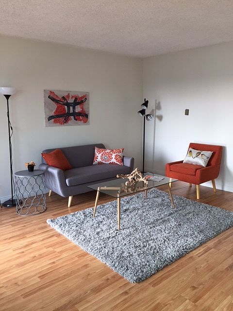 Anothe way to furnish the living room