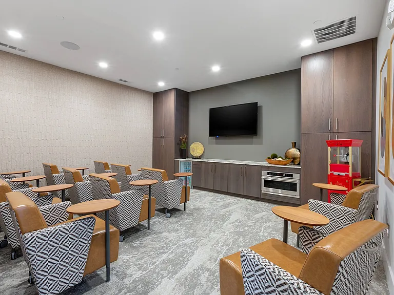 Media and Cinema Room