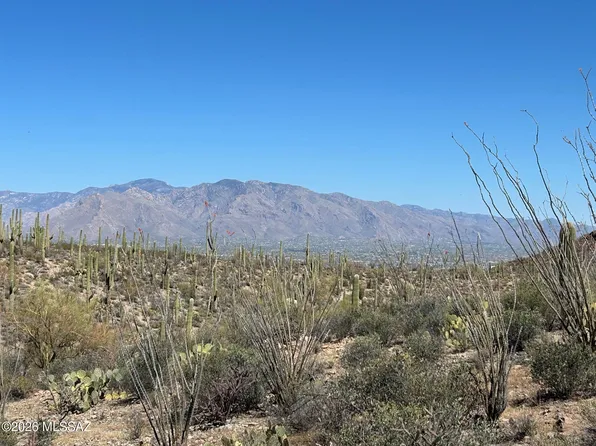 W Wasson Vista Dr, Tucson, AZ 85745