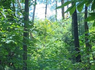 L336 Brushy Top Rd, Ellijay, GA 30540