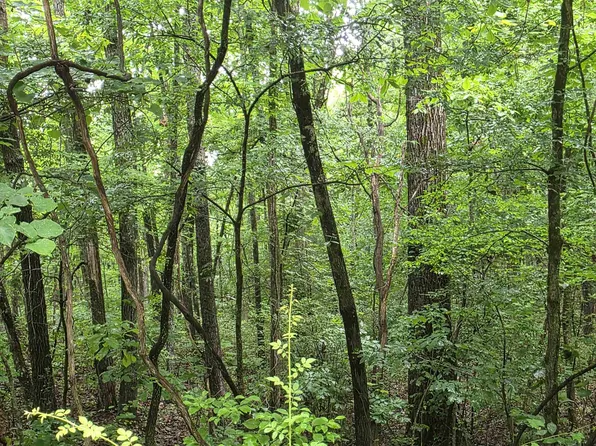 L-47 Saskatchewan Dr #B, Cherokee Village, AR 72529