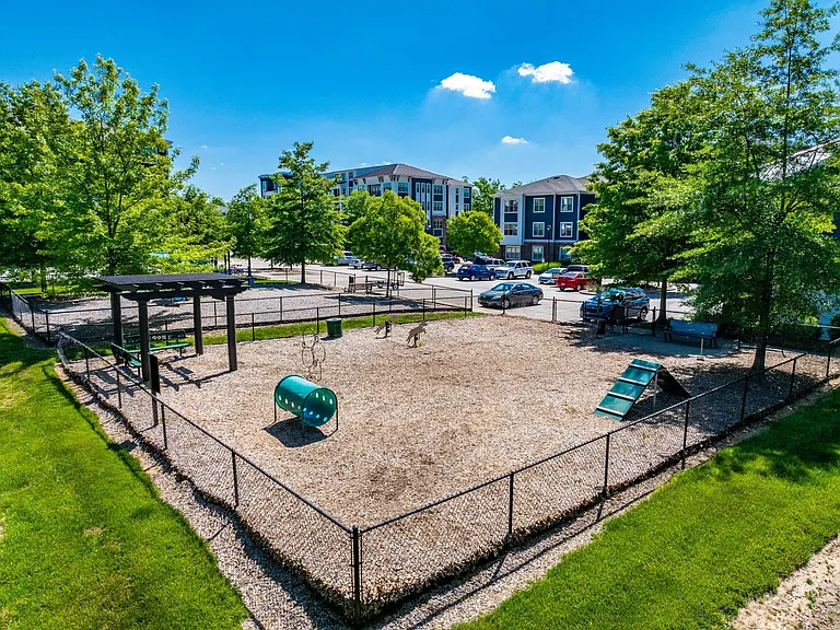 Dog Park