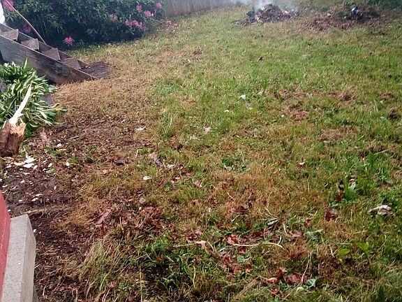 Half of the side yard 