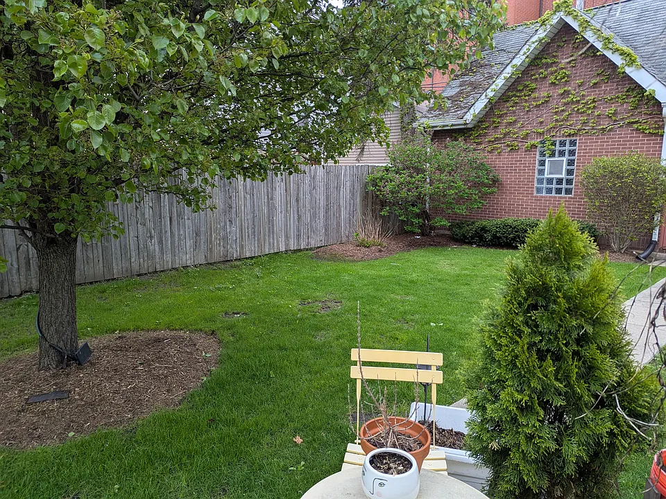 Side Yard