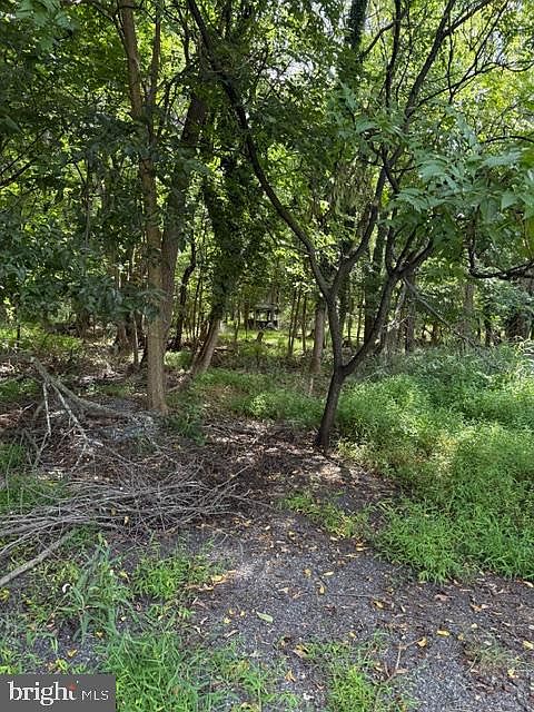 1st image of 50 Saint Paul St Lot 2
