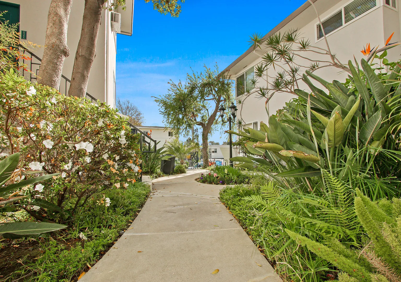 Levering Apartments — Photo 4