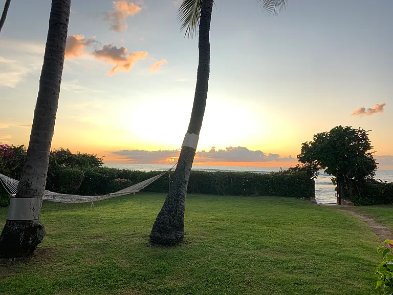 Oceanside yard